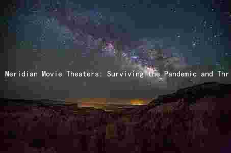 Meridian Movie Theaters: Surviving the Pandemic and Thriving in the Region