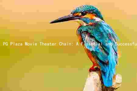 PG Plaza Movie Theater Chain: A Financial and Successful Venture with Exciting Future Prospects