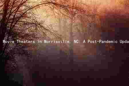 Movie Theaters in Morrisville, NC: A Post-Pandemic Update on Features, Types of Films, and New Developments