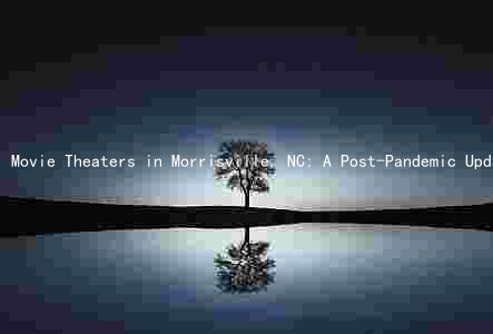 Movie Theaters in Morrisville, NC: A Post-Pandemic Update on Features, Types of Films, and New Developments